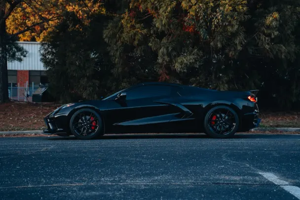 Kasyno Sticky Wilds Aplikacja Android/iOS